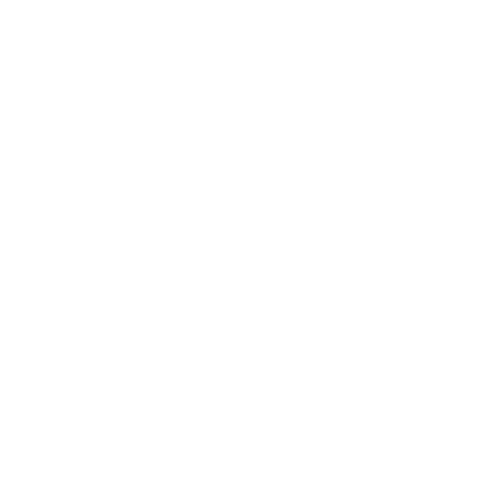 Cerebral Valley
